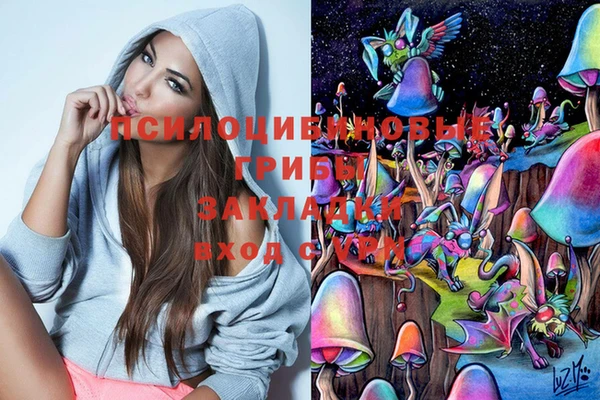скорость Няндома