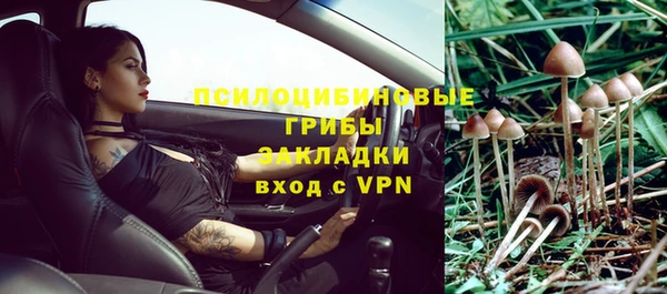 альфа пвп Нязепетровск