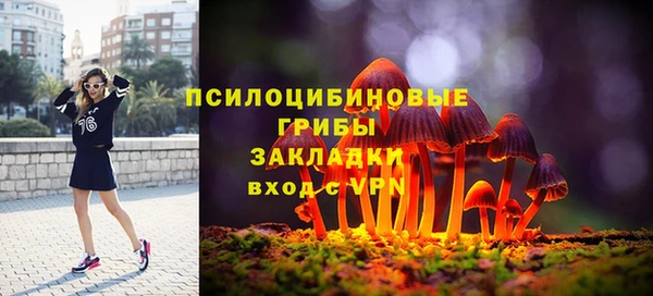 скорость Няндома