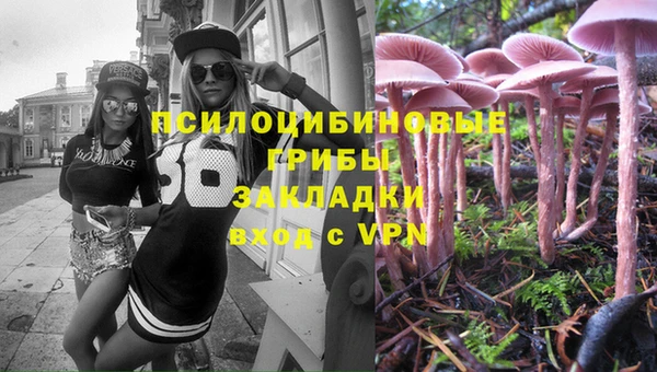 альфа пвп Нязепетровск