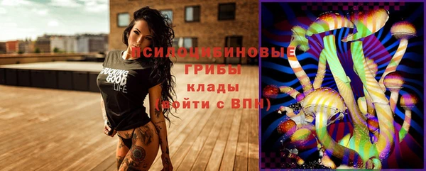 альфа пвп Нязепетровск