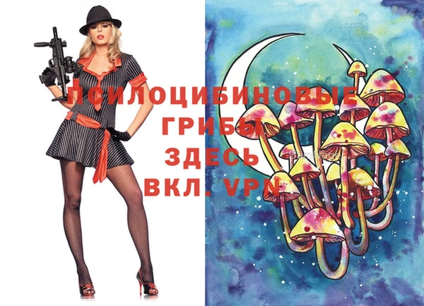 скорость Няндома