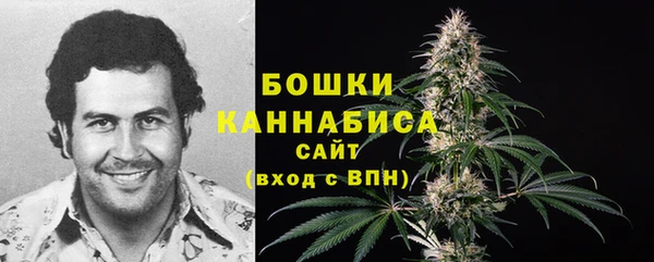 молекула духа Нягань
